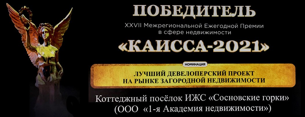 лучший девелоперский проект 2021 лучший девелоперский проект 2021