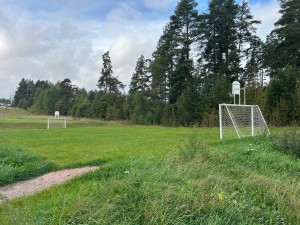 благоустройство коттеджного поселка благоустройство коттеджного поселка