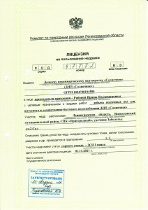 лицензия на скважину