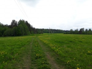 прокладка линий электропередачи