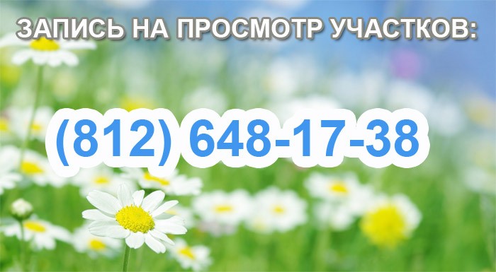 запись на просмотр участков запись по телефону