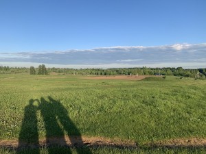 Разметелево, 2-я очередь Разметелево, 2-я очередь