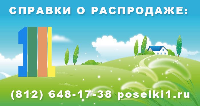 спецпредложения и распродажи акции